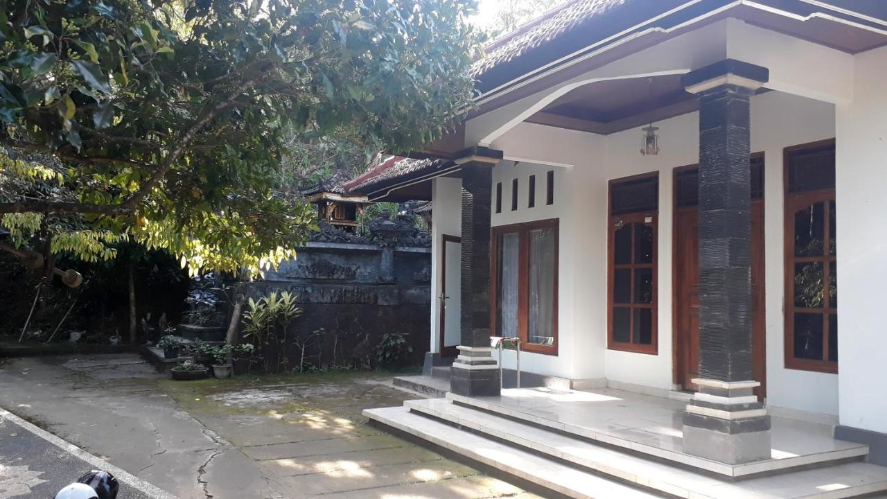 Sekumpul Accommodation Singaraja Exterior foto